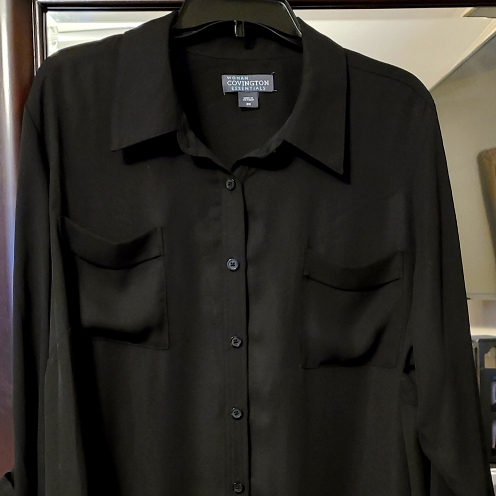 Sheer Long Sleeve Blouse